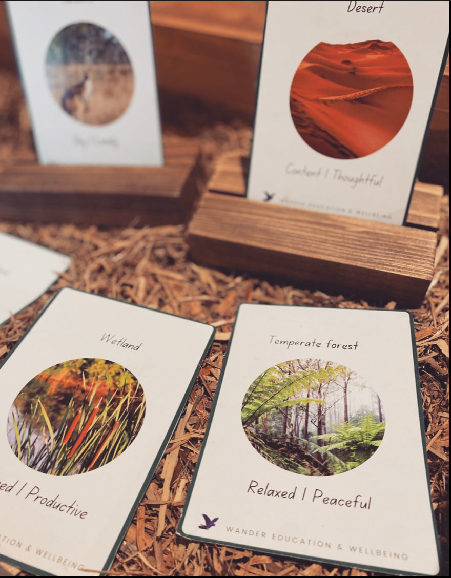Relating Emotions to Ecosystems Educational Flashcards - Printed Set
