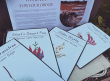 Load image into Gallery viewer, Australian Bush Flora Educational Cards - DIGITAL Copy
